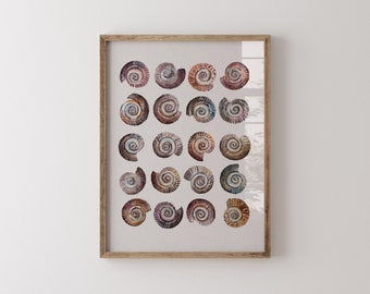 Grid of Snails, Watercolour Fine Art Print