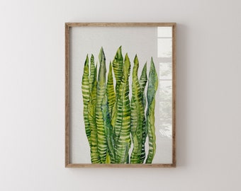 Watercolour Print of Snake Plant, Botanical Artwork, Mediterranean Home Decor, Foliage Art Print