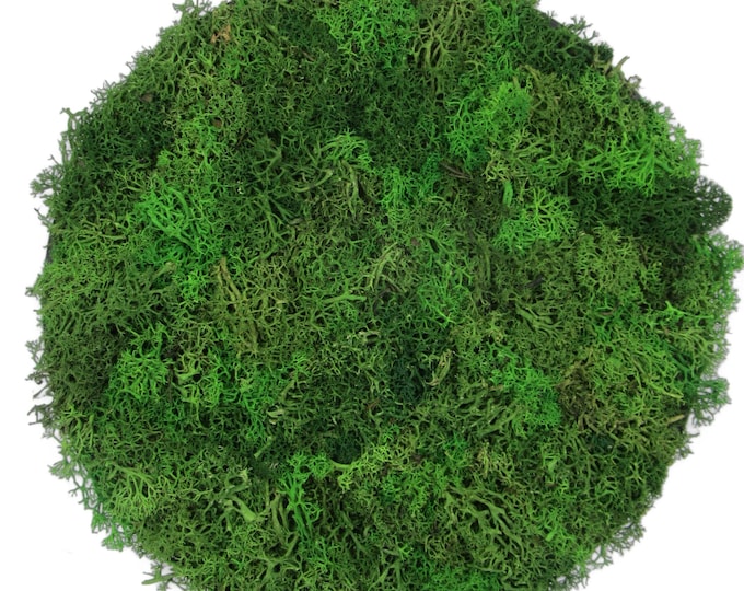 Moss picture on mango wood natural round 26 cm "handmade"