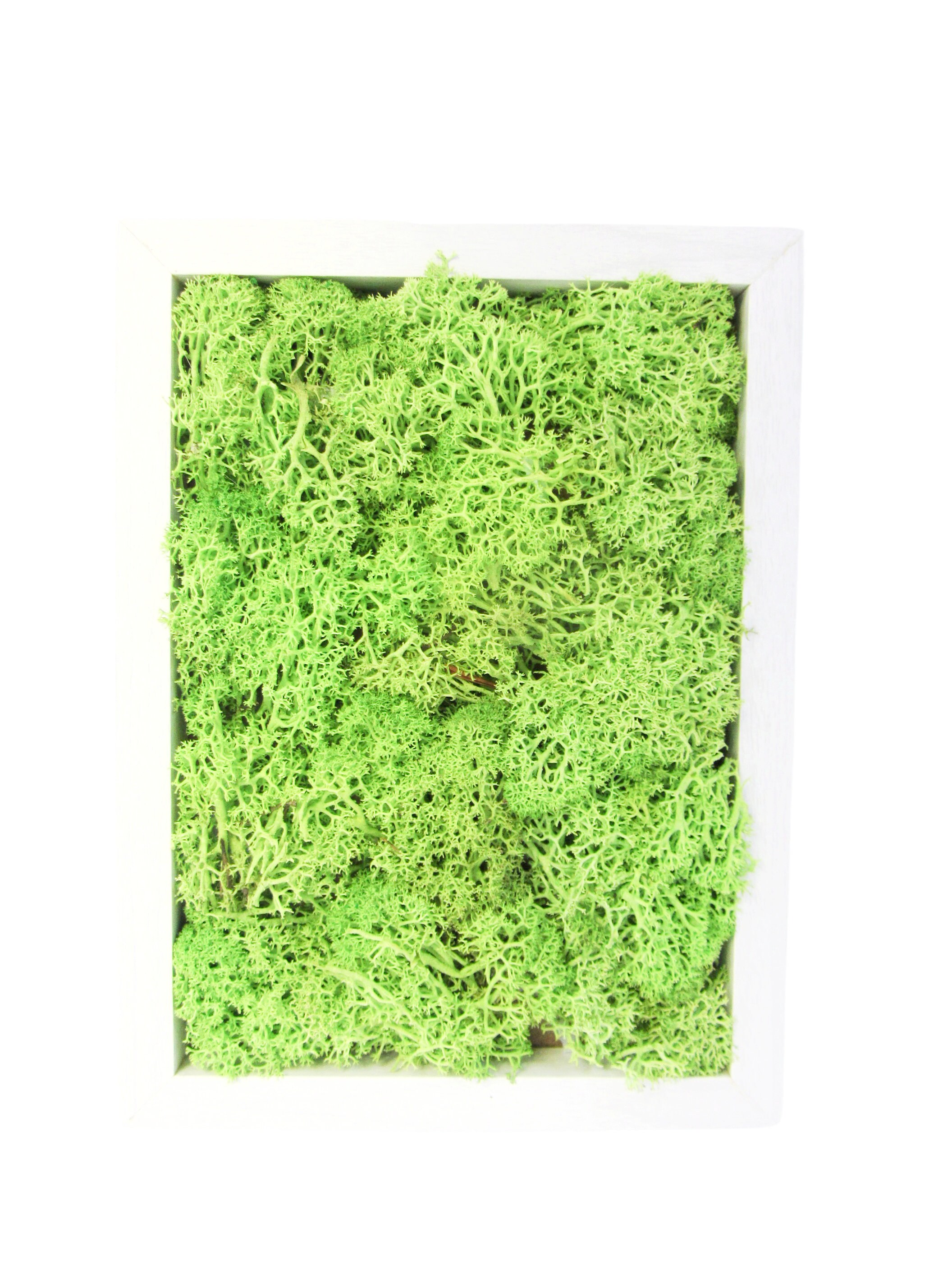 Artificial Plant Wall Moss Mesh Artificial Plants Artificial Plant Wall DIY  Wall Panels 