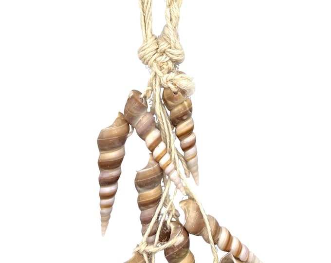 Maritime shell decoration pointed shell 40 cm