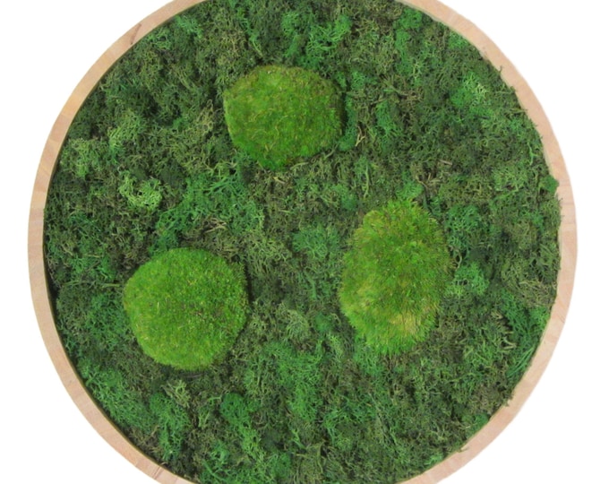 Moss moss picture Wood around 30 cm "handmade"