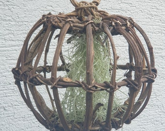 Hanging Ball 30 cm mit echter lebender Tillandsie