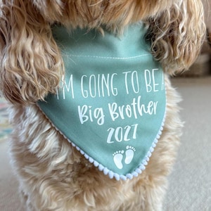 Op de afbeelding: Een saliegroene driehoekige bandana voor huisdieren met witte pomponranden langs de zijkanten. De tekst luidt I'M GOING TO BE A Big Brother 2027 in witte letters, vergezeld van een afbeelding van twee kleine babyvoetjes onderaan de stof.