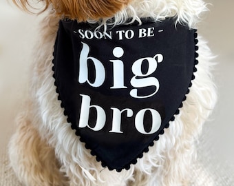 Anuncio de bebé, Anuncio de embarazo, Pronto será Gran Hermano Gran Hermana Perro Bandana, Perro Bandana Negro, Sobre el Collar