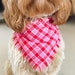 see more listings in the Frayed Scarf Bandanas section