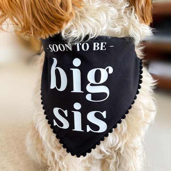 Pregnancy Announcement Dog Bandana, Big Bro Big Sis Dog Accessory, Baby Shower Gift, Puppy Accessory Neckerchief, Dog Photoshoot