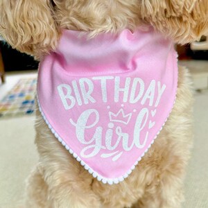 Birthday Dog Bandana, Birthday Pet Accessory, Slide on Collar Bandana image 2