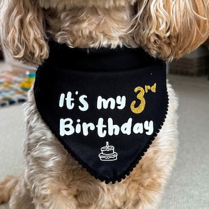 Personalised Dog Birthday Bandana, Dog Birthday Gift, Sparkly Pet Birthday Accessory