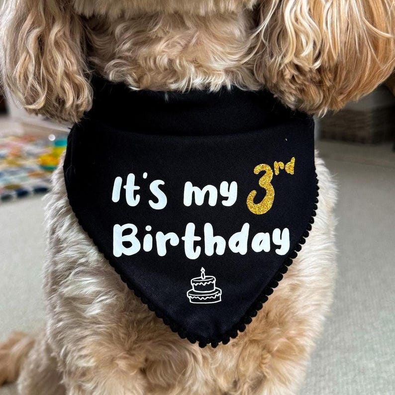 Personalised Dog Birthday Bandana, Dog Birthday Gift, Sparkly Pet Birthday Accessory