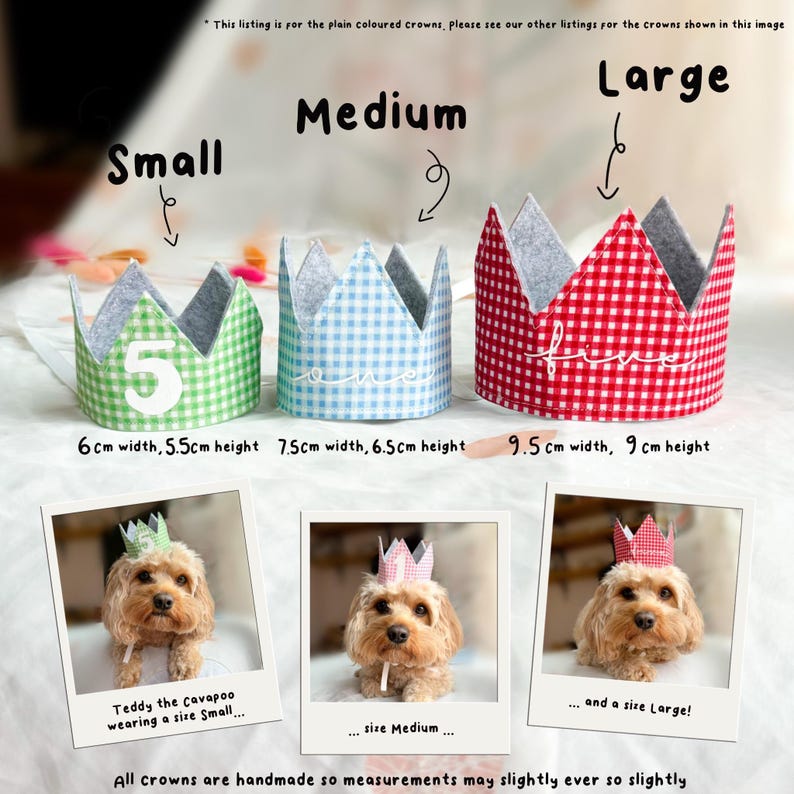 Dog Birthday Bandana, Birthday Boy Bandana and Hat Set, Dog Birthday Gift image 8