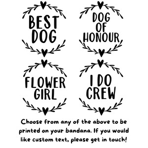 Wedding Dog Bandanas, Hen Do Dog Pet Accessory, Pet Wedding Outfit, Dog of Honour image 7