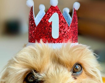 Corona de cumpleaños para perro, sombrero de fiesta con purpurina brillante para mascotas, decoración de accesorios para el primer cumpleaños, edad personalizada