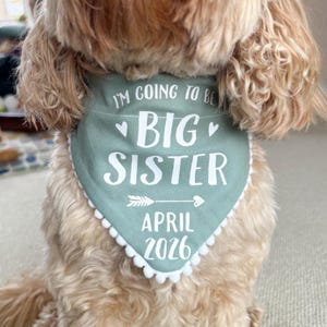 Könnte beinhalten: Ein dreieckiges Haustierhalstuch in Salbeigrün mit weißem Bommelbesatz. Der Stoff ist mit weißem Text bedruckt, der I'M GOING TO BE BIG SISTER lautet, sowie einer Pfeilgrafik und dem Text APRIL 2026. Es wird von einem hellbraunen Hund getragen.