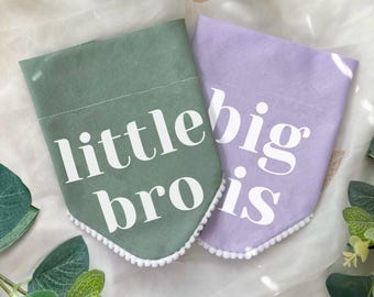 Brother Sister Dog Bandanas, Big Bro Sis, Little Bro Sis, Pregnancy Announcement, New Dog Puppy Photoshoot