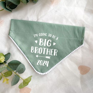 Pregnancy Announcement, Big Brother Big Sister Dog Bandana, Baby Announcement Photoshoot, Pastel Colour Dog Bandana, Over the Collar Green