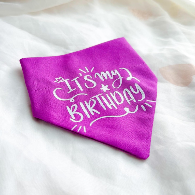 Birthday Dog Bandana, Birthday Pet Accessory, Slide on Collar Bandana image 3