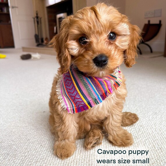 Dog Bandana Slip Through Collar Bandana, Scarf Bandana, Puppy