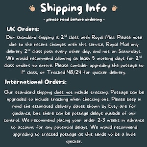text that provides shipping information for both UK and international orders. It advises on the shipping service, the standard shipping class, and the tracking of international orders. The text also mentions the estimated delivery dates and suggests placing the order 2-3 weeks in advance to account for potential delays.