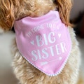 Big Sister Pregnancy Announcement Dog Bandana Accessory