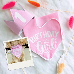 Dog Birthday Bandana, Birthday Boy Bandana and Hat Set, Dog Birthday Gift image 2