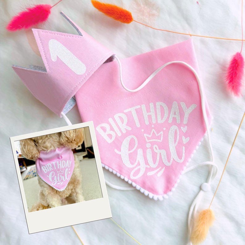 Dog Birthday Bandana, Birthday Boy Bandana and Hat Set, Dog Birthday Gift image 2
