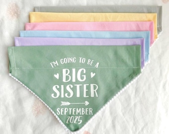 Big Sister Pregnancy Announcement, Big Brother Dog Bandana, Baby Reveal Photoshoot, Pastel Colour Dog Bandana