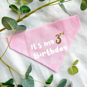Birthday Dog Bandana, Personalised Puppy First Birthday Accessory image 4