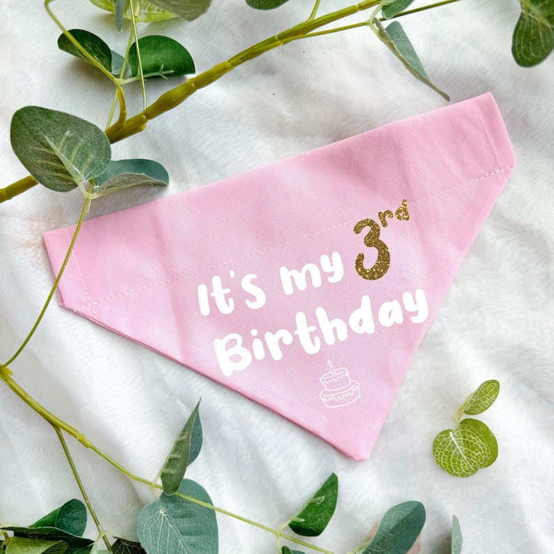 Birthday Dog Bandana, Personalised Puppy First Birthday Accessory image 4
