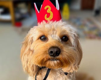Pet Party Crown, Birthday Party Hat for Dog, Birthday Accessory Custom Age