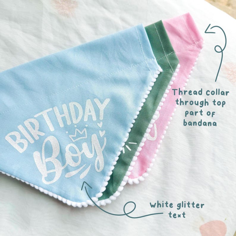 Birthday Dog Bandana, Birthday Pet Accessory, Slide on Collar Bandana image 4