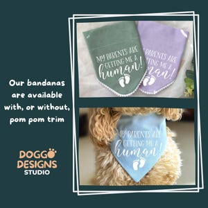 Pañuelo para perro para anunciar el embarazo, Mis padres me van a dar un bebé, Regalo divertido para anunciar el embarazo, Accesorio para sesión de fotos de cachorros imagen 7