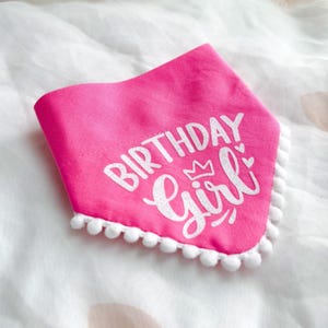 Birthday Dog Bandana, Birthday Pet Accessory, Slide on Collar Bandana image 4