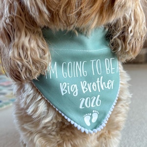 Op de afbeelding: Een saliegroene huisdierbandana met witte tekst I'M GOING TO BE A Big Brother 2026 en een afbeelding van twee kleine babyvoetjes. Het driehoekige stoffen accessoire is afgewerkt met een witte pomponrand langs de onderkant.