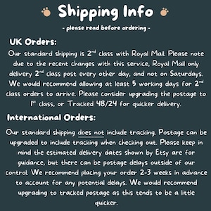 text that provides shipping information for both UK and international orders. It advises on the shipping service, the standard shipping class, and the tracking of international orders. The text also mentions the estimated delivery dates and suggests placing the order 2-3 weeks in advance to account for potential delays.
