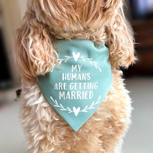 Op de afbeelding: Een driehoekige bandana voor huisdieren in saliegroen met de witte tekst MY HUMANS ARE GETTING MARRIED, omlijst door een witte afbeelding van een bladerkrans en twee kleine hartjes aan de boven- en onderkant, gedragen om de nek van een lichtbruine hond.