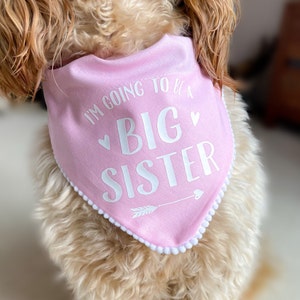 Big Brother Pregnancy Announcement Dog Bandana Accessory image 2