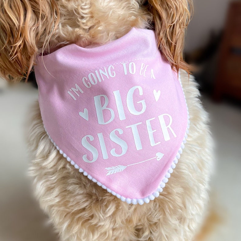 Big Brother Pregnancy Announcement Dog Bandana Accessory image 2