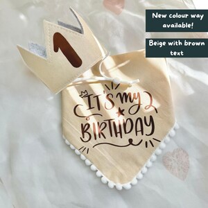 Birthday Dog Bandana, Birthday Pet Accessory, Slide on Collar Bandana image 7
