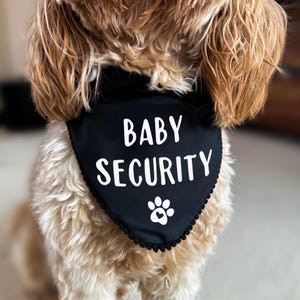 May include: A black triangular pet bandana featuring the white text BABY SECURITY and a white paw print icon with a small heart in the centre. The bandana has a decorative black pom-pom trim along the bottom edge and is worn by a light brown dog.