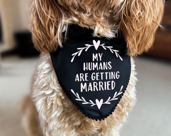 Bandana para perros "Mis humanos se casan", anuncio de compromiso, recuerdo para sesión de fotos, regalo para dueños de perros, próximamente casados