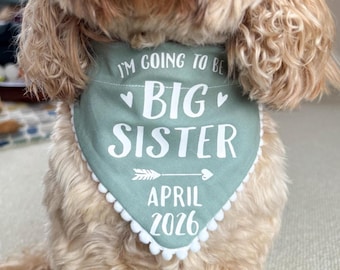 Bandana personalizada para perro con anuncio de bebé, hermana mayor y revelación de embarazo.