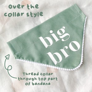 Pregnancy Announcement, Big Brother Big Sister Dog Bandana, Baby Announcement Photoshoot, Pastel Colour Dog Bandana, Over the Collar image 6