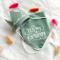 Birthday Dog Bandana, Pet Bday Gift, Bandana and Hat Set, First Birthday