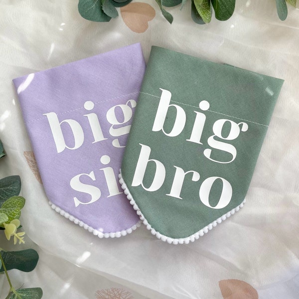 Pregnancy Baby Announcement Dog Bandana, Big Brother Big Sister, Baby Photoshoot, Cute Pastel Colour Dog Bandana Accessory