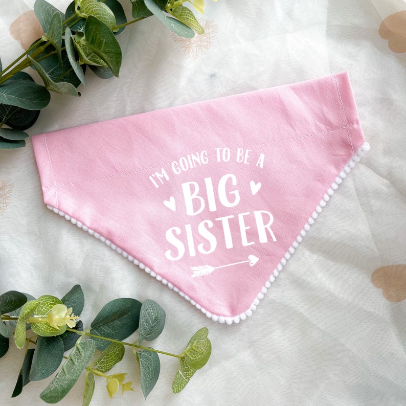 Pregnancy Announcement, Big Brother Big Sister Dog Bandana, Baby Announcement Photoshoot, Pastel Colour Dog Bandana, Over the Collar Pink