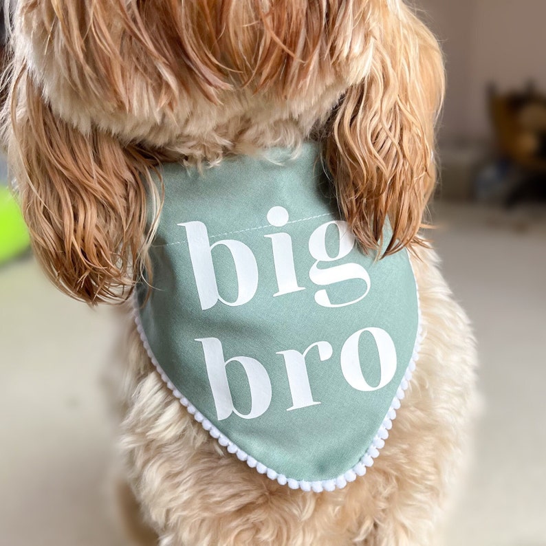 Pregnancy Baby Announcement Dog Bandana, Big Brother Big Sister, Baby Photoshoot, Cute Pastel Colour Dog Bandana Accessory image 2