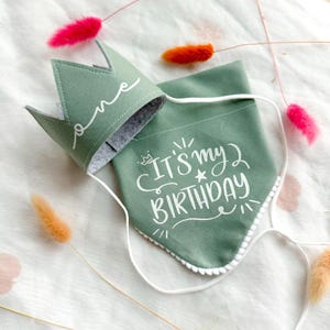 Bandana para cachorro de aniversário, presente de aniversário para animais de estimação, conjunto de bandana e chapéu, primeiro aniversário