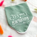 Birthday Dog Bandana, Birthday Pet Accessory, Slide on Collar Bandana