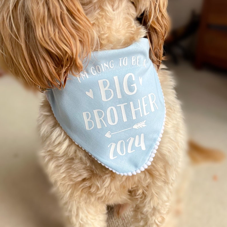 Pregnancy Announcement, Big Brother Big Sister Dog Bandana, Baby Announcement Photoshoot, Pastel Colour Dog Bandana, Over the Collar image 2